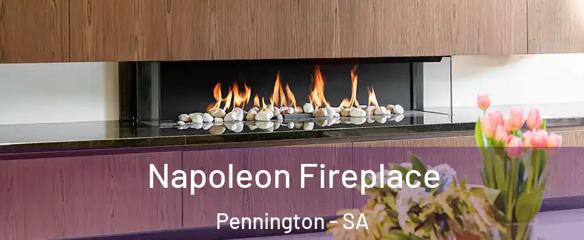  Napoleon Fireplace Pennington - SA