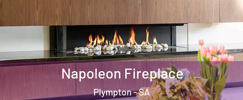  Napoleon Fireplace Plympton - SA