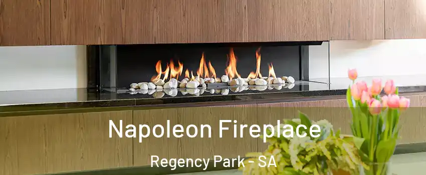  Napoleon Fireplace Regency Park - SA
