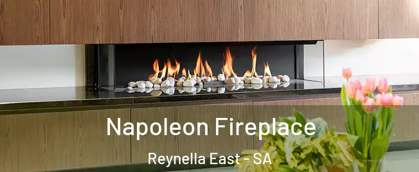  Napoleon Fireplace Reynella East - SA