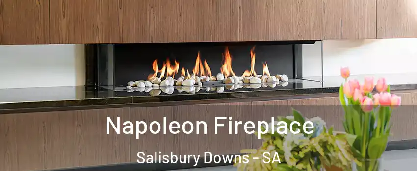  Napoleon Fireplace Salisbury Downs - SA