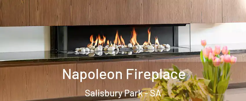  Napoleon Fireplace Salisbury Park - SA