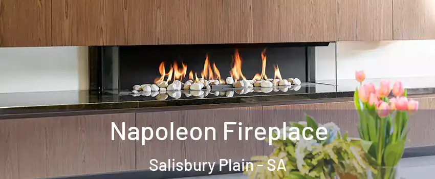  Napoleon Fireplace Salisbury Plain - SA