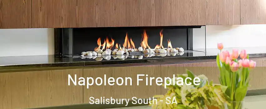  Napoleon Fireplace Salisbury South - SA