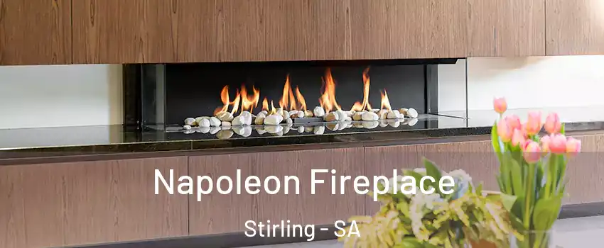  Napoleon Fireplace Stirling - SA