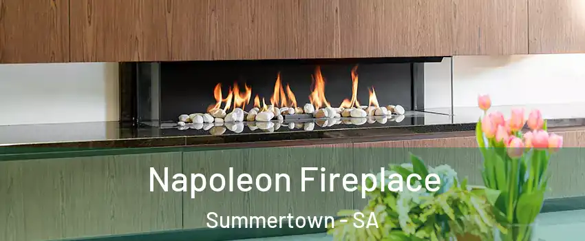  Napoleon Fireplace Summertown - SA