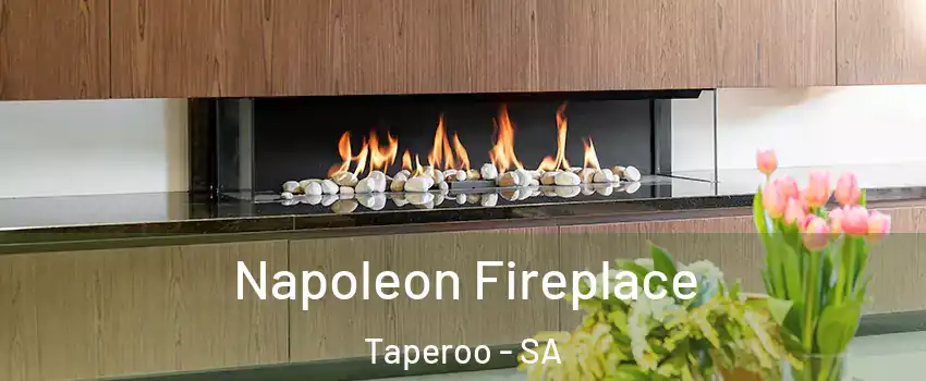 Napoleon Fireplace Taperoo - SA