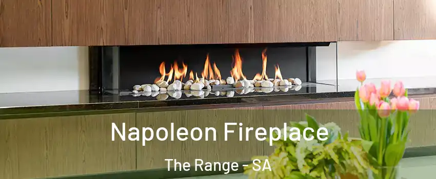  Napoleon Fireplace The Range - SA