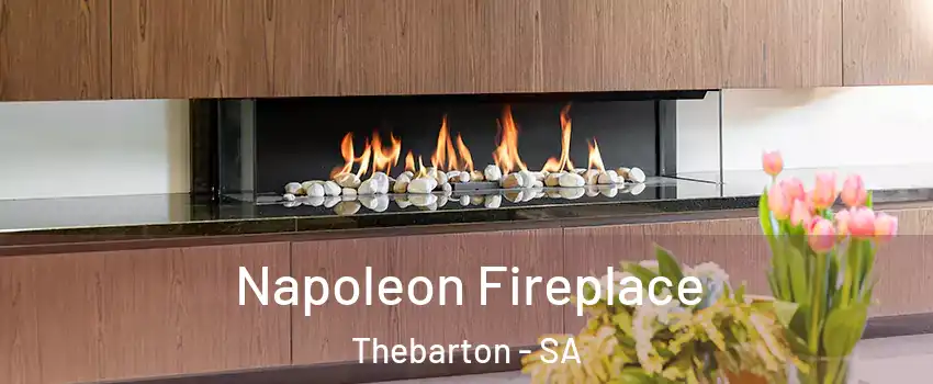  Napoleon Fireplace Thebarton - SA