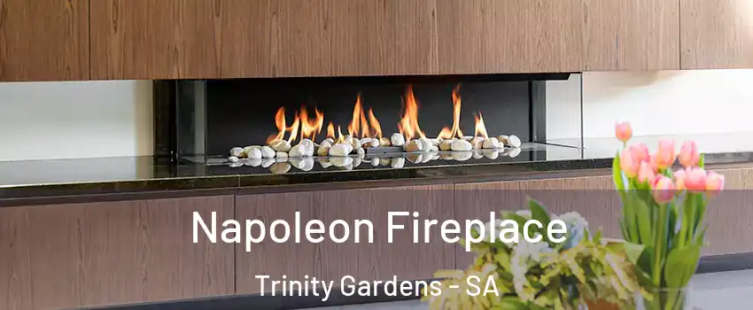  Napoleon Fireplace Trinity Gardens - SA