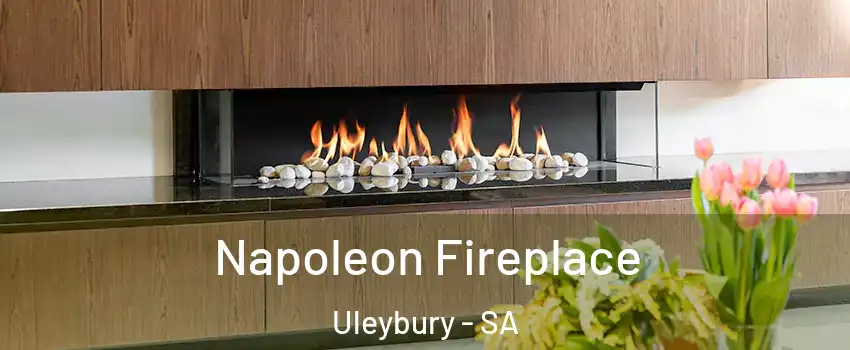  Napoleon Fireplace Uleybury - SA