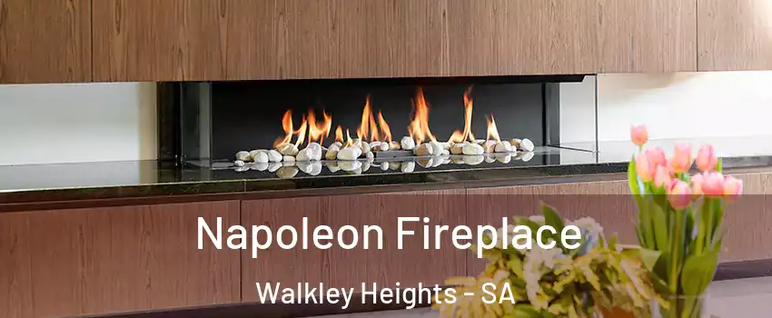  Napoleon Fireplace Walkley Heights - SA