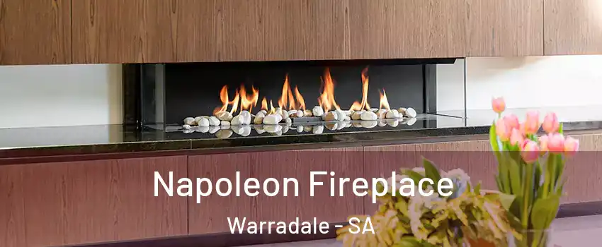  Napoleon Fireplace Warradale - SA