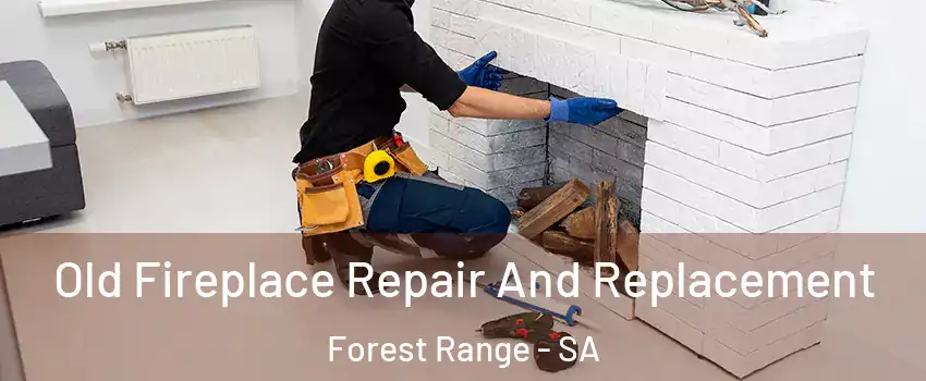  Old Fireplace Repair And Replacement Forest Range - SA
