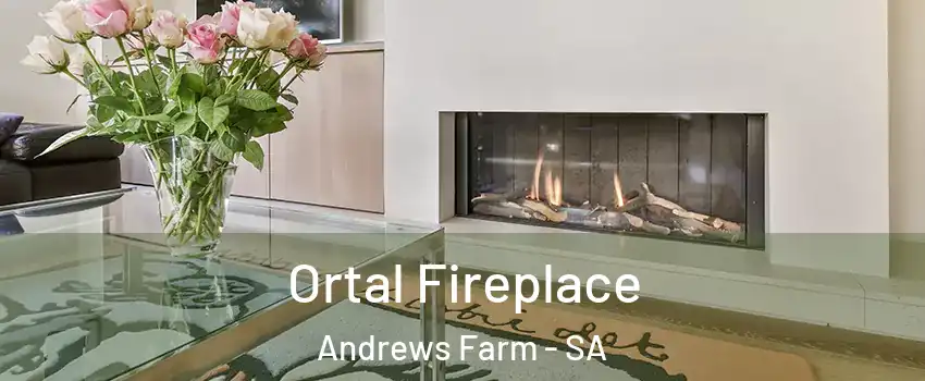 Ortal Fireplace Andrews Farm - SA