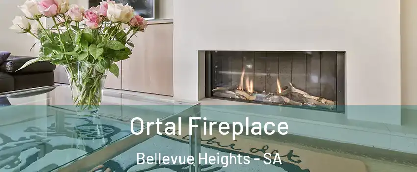 Ortal Fireplace Bellevue Heights - SA