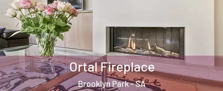 Ortal Fireplace Brooklyn Park - SA