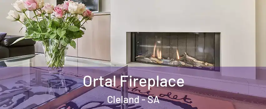 Ortal Fireplace Cleland - SA