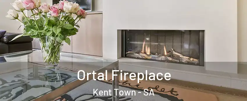  Ortal Fireplace Kent Town - SA