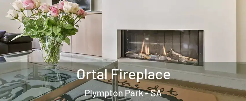  Ortal Fireplace Plympton Park - SA