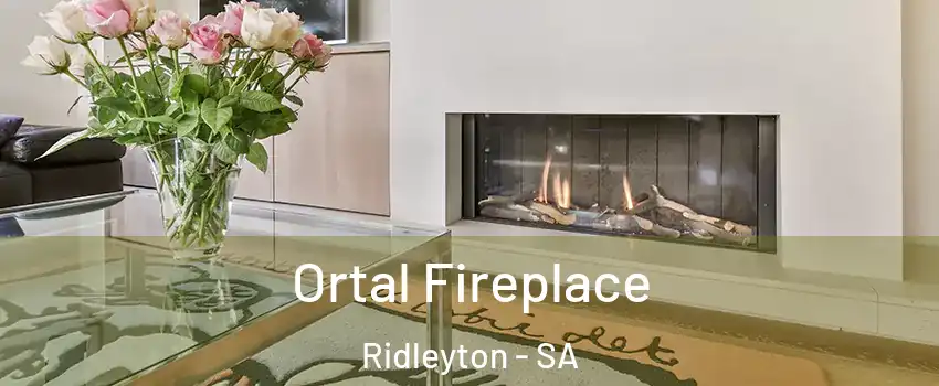  Ortal Fireplace Ridleyton - SA