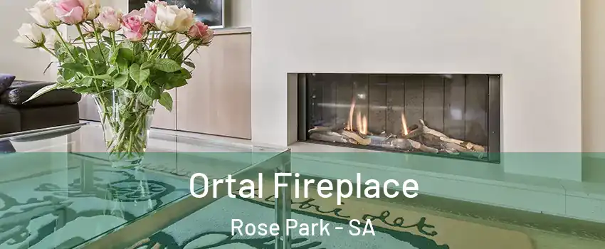  Ortal Fireplace Rose Park - SA