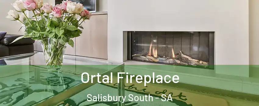  Ortal Fireplace Salisbury South - SA