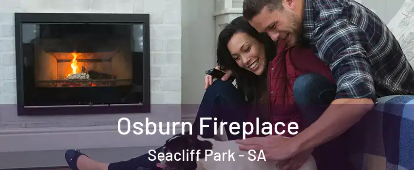  Osburn Fireplace Seacliff Park - SA