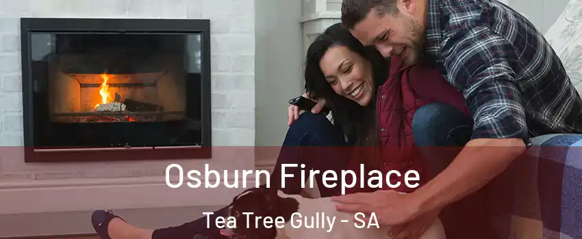  Osburn Fireplace Tea Tree Gully - SA