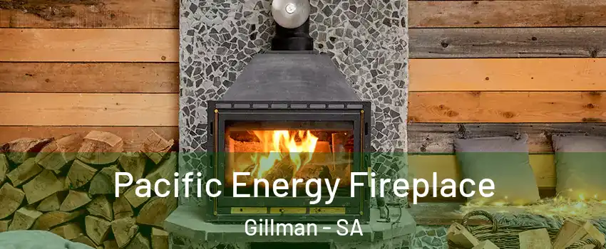 Pacific Energy Fireplace Gillman - SA