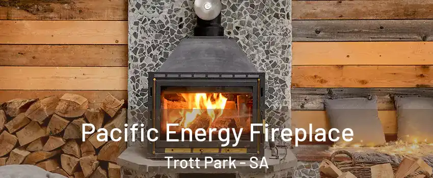  Pacific Energy Fireplace Trott Park - SA