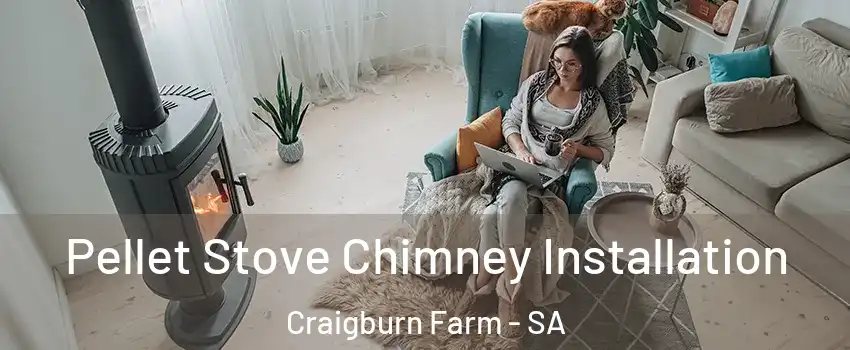 Pellet Stove Chimney Installation Craigburn Farm - SA
