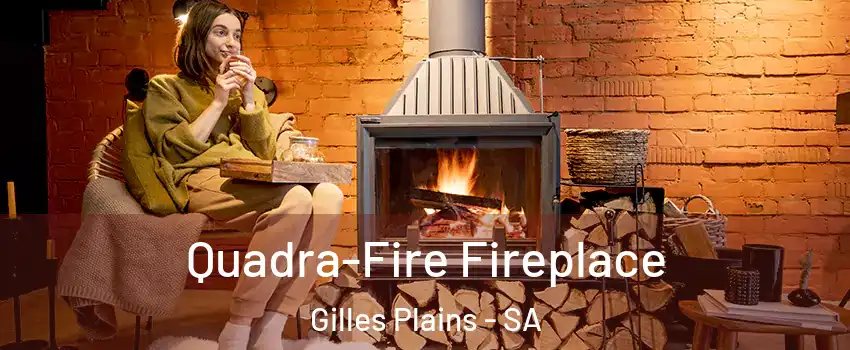 Quadra-Fire Fireplace Gilles Plains - SA