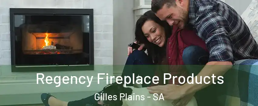Regency Fireplace Products Gilles Plains - SA
