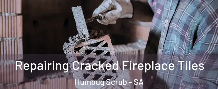  Repairing Cracked Fireplace Tiles Humbug Scrub - SA
