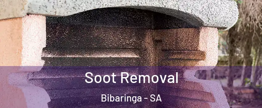 Soot Removal Bibaringa - SA