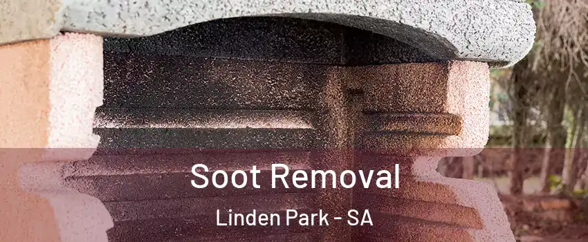  Soot Removal Linden Park - SA
