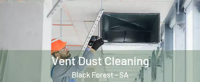 Vent Dust Cleaning Black Forest - SA