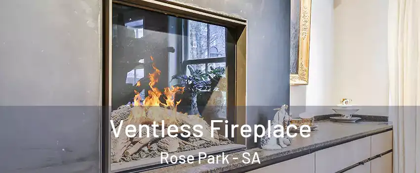  Ventless Fireplace Rose Park - SA