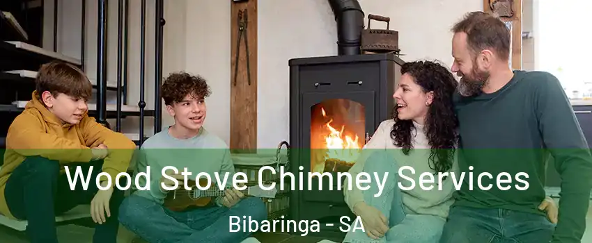 Wood Stove Chimney Services Bibaringa - SA