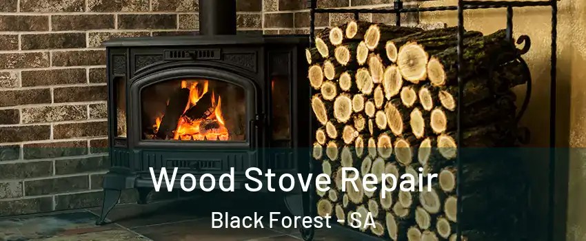 Wood Stove Repair Black Forest - SA